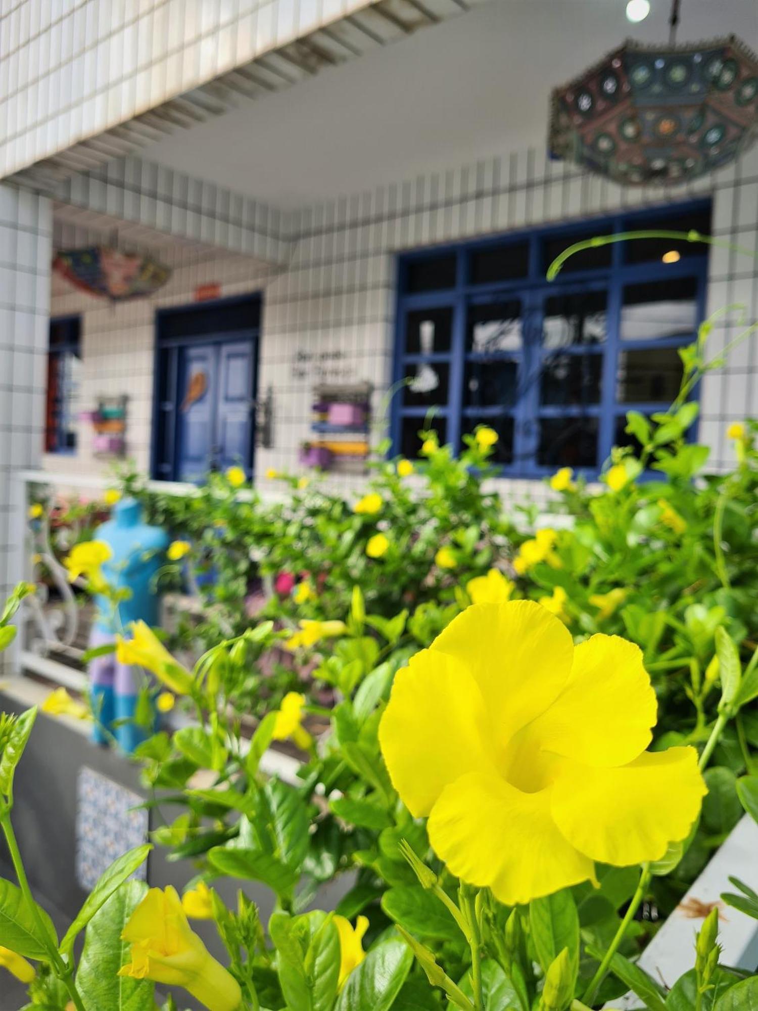 Soul Hostel *